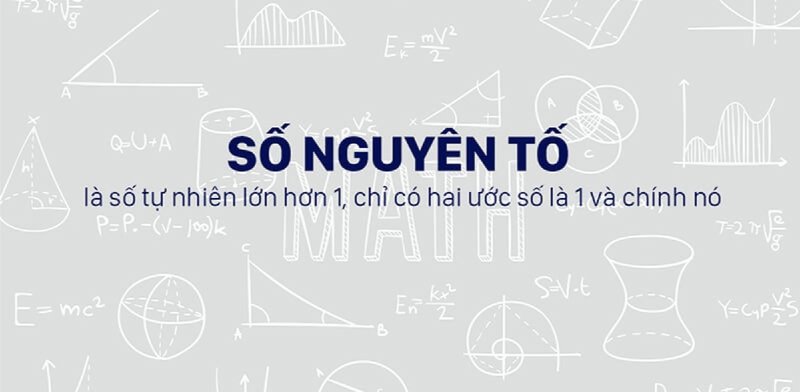 so-nguyen-to-kham-pha-bi-mat-toan-hoc-va-ung-dung-bat-ngo-truyenchuonl-com-0-1