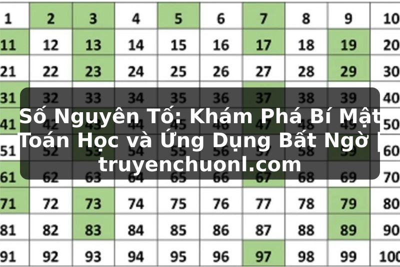 Số Nguyên Tố: Khám Phá Bí Mật Toán Học và Ứng Dụng Bất Ngờ | truyenchuonl.com