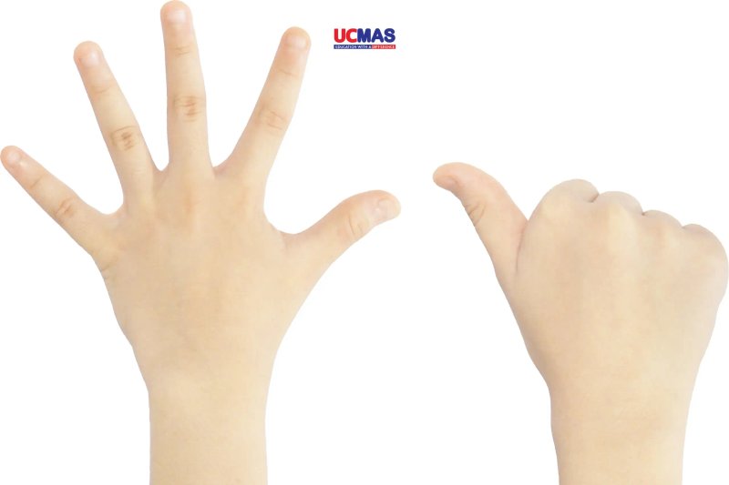 so-sanh-toan-tu-duy-ucmas-finger-math-soroban-chon-phuong-phap-nao-truyenchuonl-com-0-2